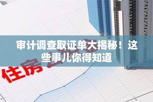 赣州审计调查取证单大揭秘！这些事儿你得知道