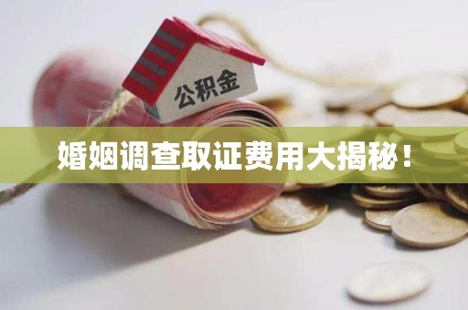 赣州婚姻调查取证费用大揭秘！