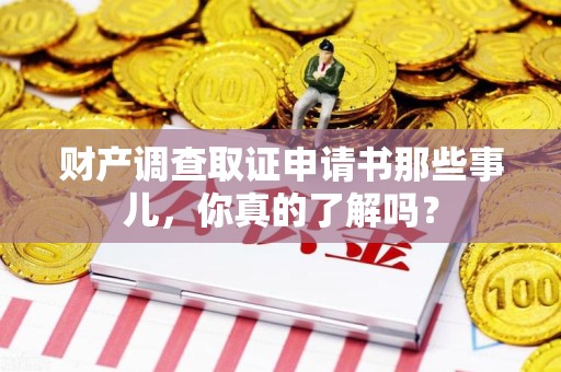 赣州财产调查取证申请书那些事儿，你真的了解吗？