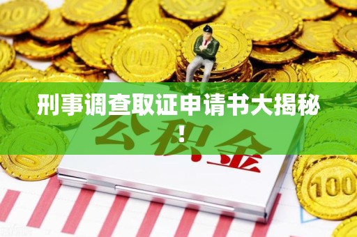 赣州刑事调查取证申请书大揭秘！