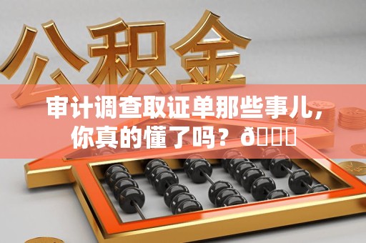 赣州审计调查取证单那些事儿，你真的懂了吗？😎
