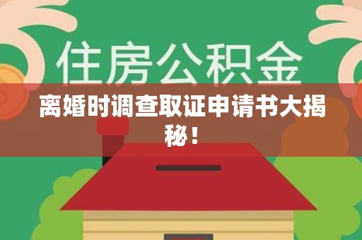 赣州离婚时调查取证申请书大揭秘！